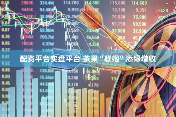 配资平台实盘平台 茶果“联姻”添绿增收